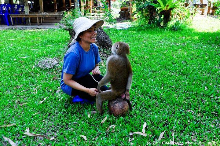 Ruean Thai Nai Bang By Pansak Resort Surat Thani Exteriér fotografie